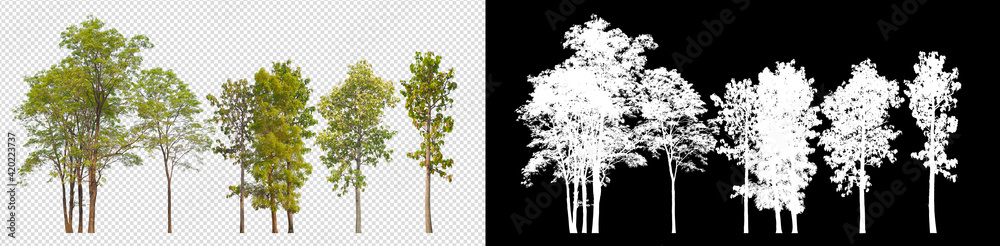 Poster collection tree on transparent background picture