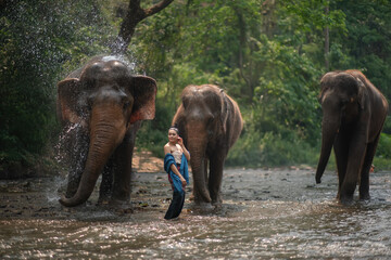 Fototapeta na wymiar Beautiful Asian Woman wears Thai dress with her elephant.