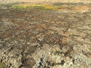 冬の朝の休耕地風景