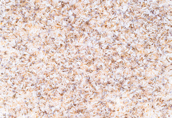 Abstract low-contrast organic texture of dried light petals in a beige-pink tone. Highlighted background