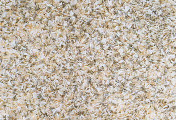 Organic texture of dried light petals with green seeds. Highlighted background