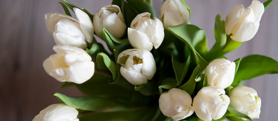 mazzo di tulipani bianchi visti dall'alto con copy space