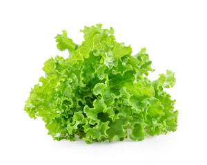 Fresh lettuce on white  background