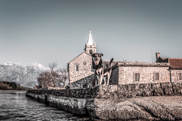 Dog standing in front of the church on the island on a Bay of Kotor