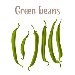 Fresh young green beans pods. Healthy nutrition product.