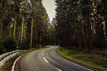 Obraz premium Road in the forest