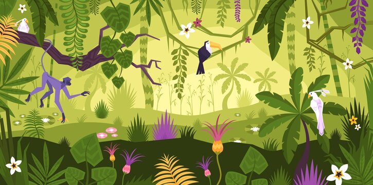 Fototapeta Jungle Rainforest Landscape Composition