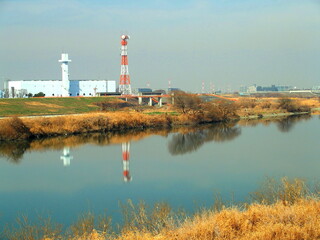冬の江戸川風景