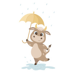 cute bulls with umbrella and run through the puddles isolate on a white background. Vector graphics
