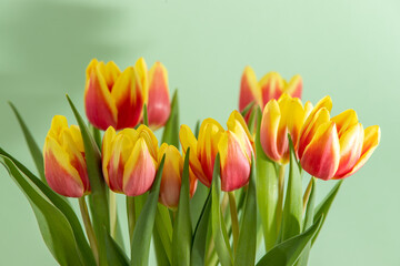 Bouquet with yellow red tulips