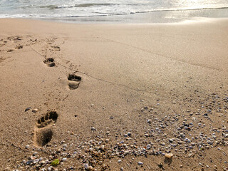 foot prints on the sandy beach in summer