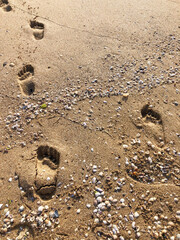 footprints on the sandy beach in summer