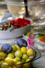 Fruits in the Garden