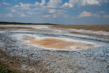 Salt marsh in Kazakh steppe. Summer time.