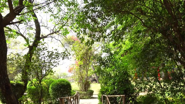  A view of fresh colorful trees in ayub park.