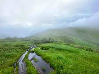山頂から見える景色