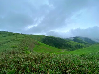 山頂から見える景色