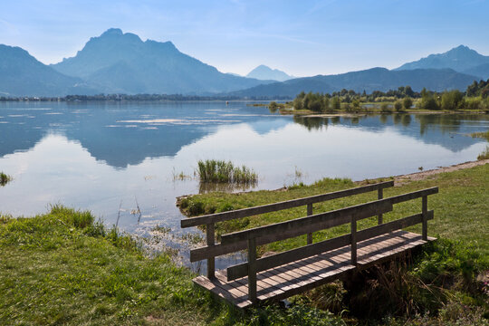 am Nordufer des Forggensee (Bayern)