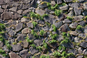 wall