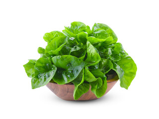 fresh Brazilian spinach isolated on white background.