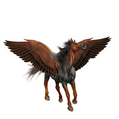 Obraz premium cheval, de face, volant, isolé, blanc, étalon, tête marron, mammifère, noir, courir, galop, fond blanc, chien, ferme, sauvage, brun, poulain, arabe, nature, poney, chevalin, amoureux des chevaux, debo