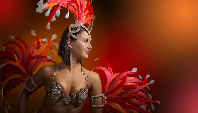  Beautiful woman in carnival costume with natural feathers and rhinestones.
