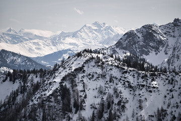 Obraz premium snow covered mountains in winter with forrest