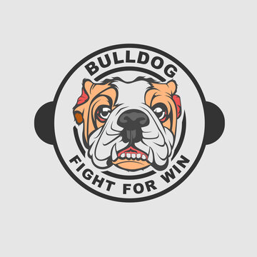 Bull Dog Logo Design Vector