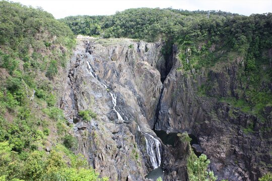 Kuranda Bilder Durchsuchen 1,939 Archivfotos, und