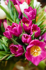 Obraz na płótnie Canvas A large bouquet of multi-colored bright tulips, a bouquet for a woman for a holiday or as a gift. Coloring bright splash or background for text