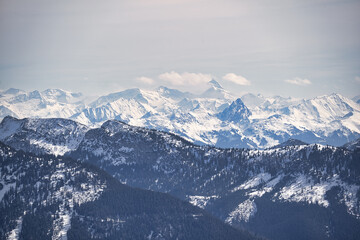 Obraz premium snow covered mountains in winter with forrest