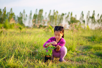 Asian child cute or kid girl planting trees or forest and people plant papaya tree on nature meadow green grass and soil for natural fertility growth and food with agriculture on summer warm sunlight