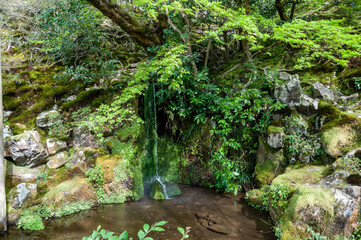 Obraz premium Moss covered rocks with small waterfall