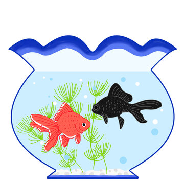 1 068 Best 金魚鉢 Images Stock Photos Vectors Adobe Stock