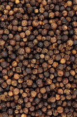 Whole dried black peppercorn spice seasoning background