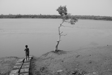 On the riverbank.  I clicked this photograph on an island of the Indian Sundarbans a few days after...