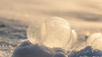 Fototapeta na wymiar Filigrane Schönheit, gefrorene Seifenblasen