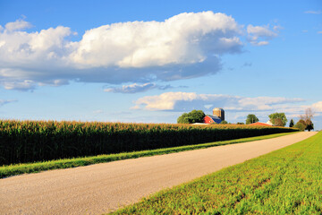 A dirt road bordered on both sides by crops in rural Illinois. Much of the state is dominated by...