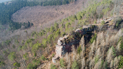 Ch&acirc;teau dans la for&ecirc;t en drone