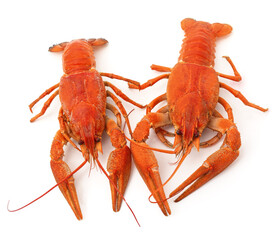 Two boiled crayfish.