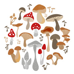 Mushroom set of vector illustrations isolated on white. White mushroom, chanterelles, honey agarics, mushrooms, fly agarics, morels. A set of ingredients for the witch's potion. Cartoon style.