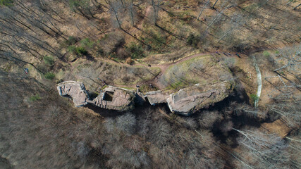 Ch&acirc;teau dans la for&ecirc;t en drone, cam&eacute;ra vers le bas