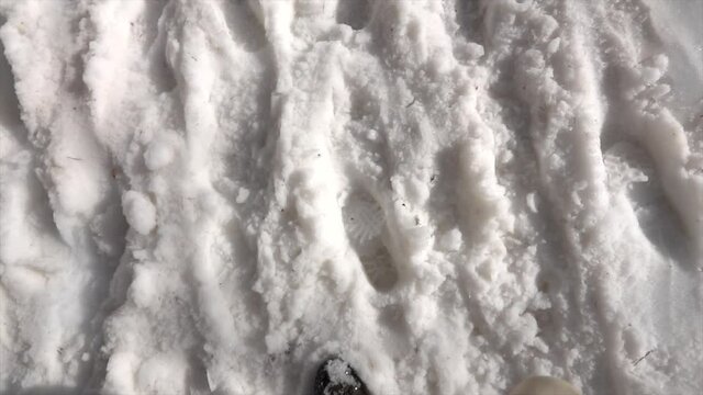 Legs of man in boots walking on snow with footprints on snowy day, slow motion