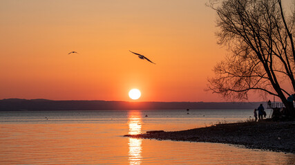 Sonnenuntergang über dem Bodensee