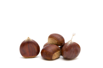 Fresh raw sweet chestnuts(Castanea sativa) isolated on a white background