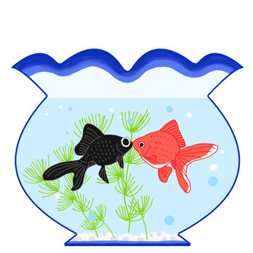 1 064 Best 金魚鉢 Images Stock Photos Vectors Adobe Stock 1 064 Best 金魚鉢 Images Stock Photos Vectors Adobe Stock