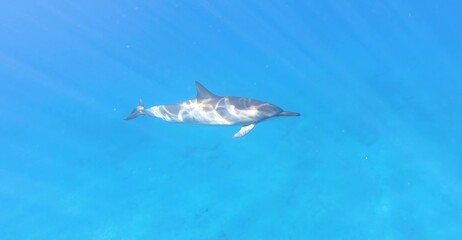 Hawaii Beautiful Nature Wallpaper in High Definition  © Hafsa