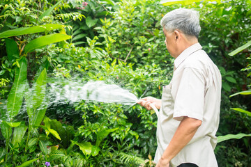 Fototapeta premium A happy and smiling Asian old elderly man is watering plants and flowers for a hobby after retirement in a home. Concept of a happy lifestyle and good health for seniors.