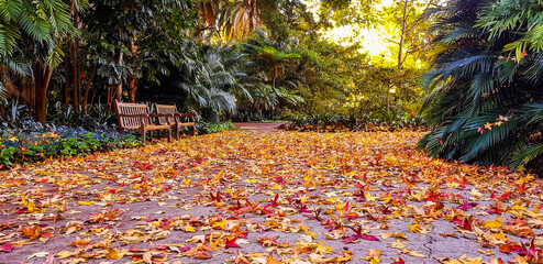 Autumn of the University of Western Australia
