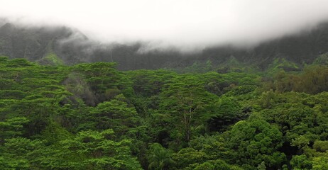 Hawaii Beautiful Nature Wallpaper in High Definition
